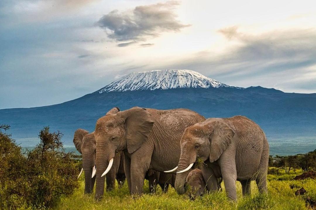 Amboseli Cultural Camping Extérieur photo